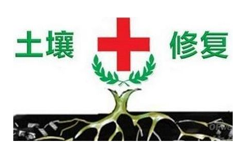 土壤重金屬污染修復(fù)